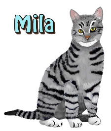 Mila | Agador and Mila's Jungle Adventure | Children's Picture Book  | Amazon & Amazon Kindle